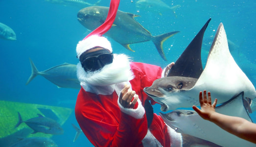 Babbo Natale?  | Famolo strano